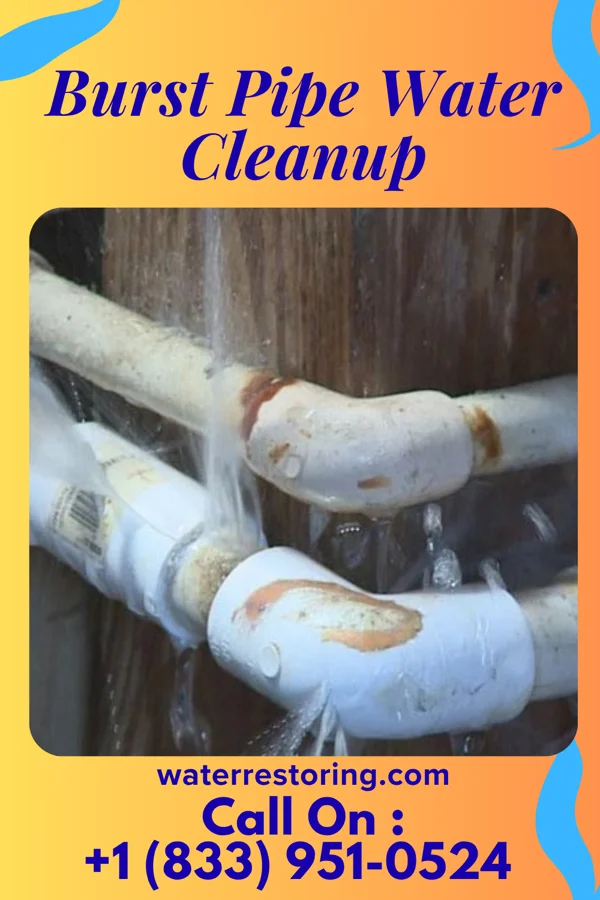 Burst Pipe Water Cleanup in Shorewood Hills, WI