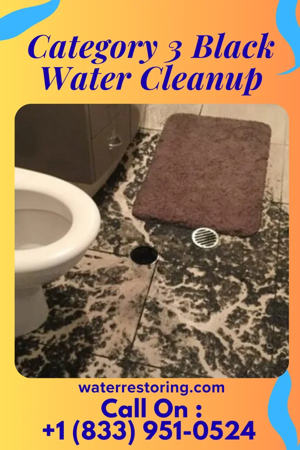 Category 3 Black Water Cleanup in Shorewood Hills, WI