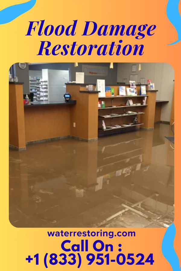 Flood Damage Restoration in Shorewood Hills, WI