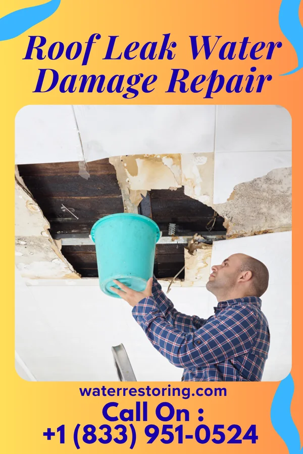 Roof Leak Water Damage Repair in Shorewood Hills, WI