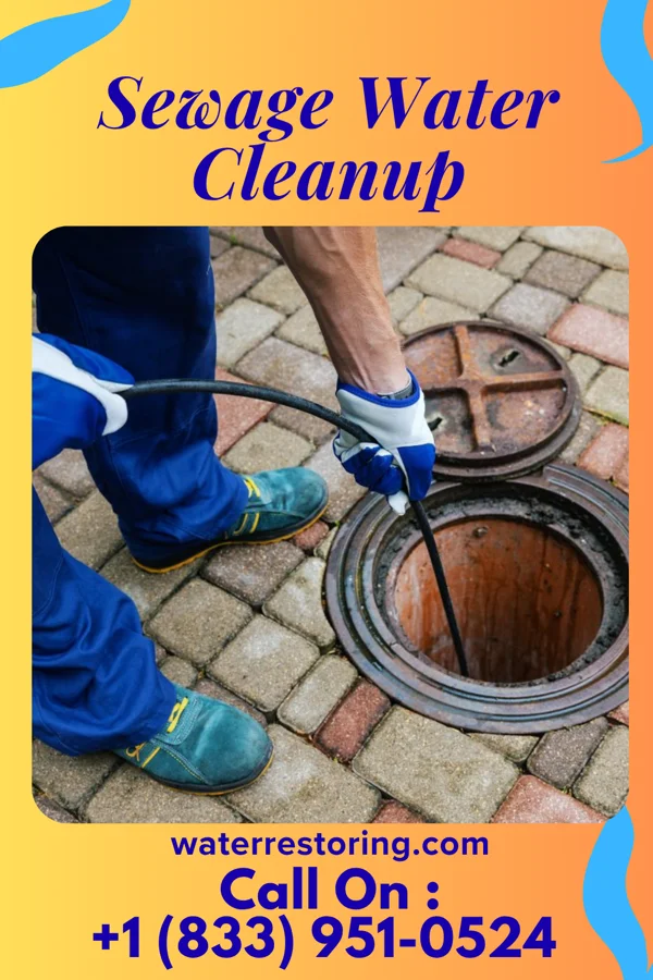 Sewage Water Cleanup in Shorewood Hills, WI