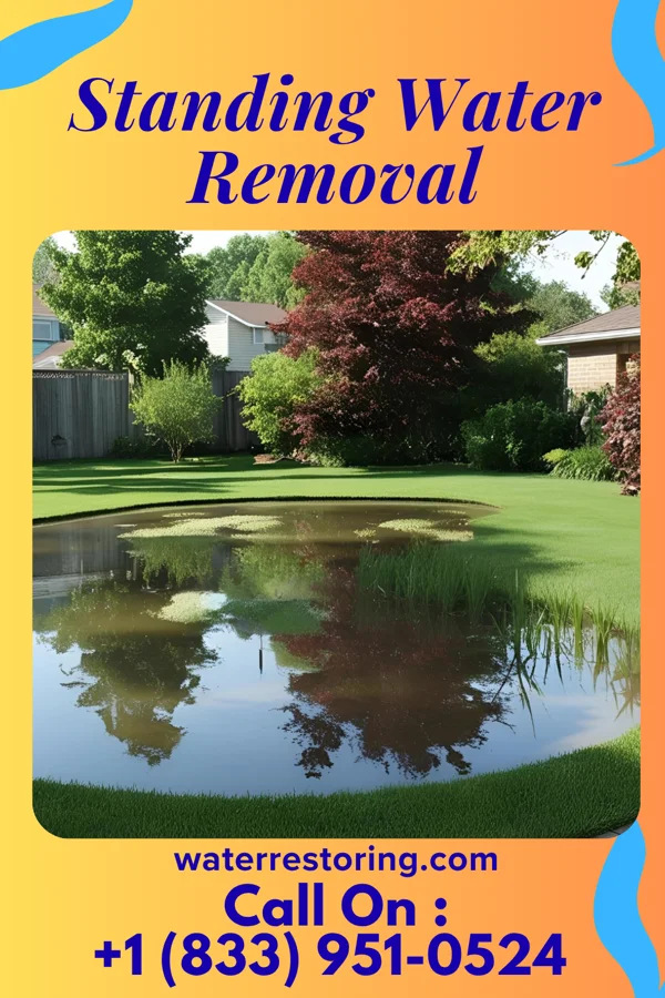 Standing Water Removal in Shorewood Hills, WI